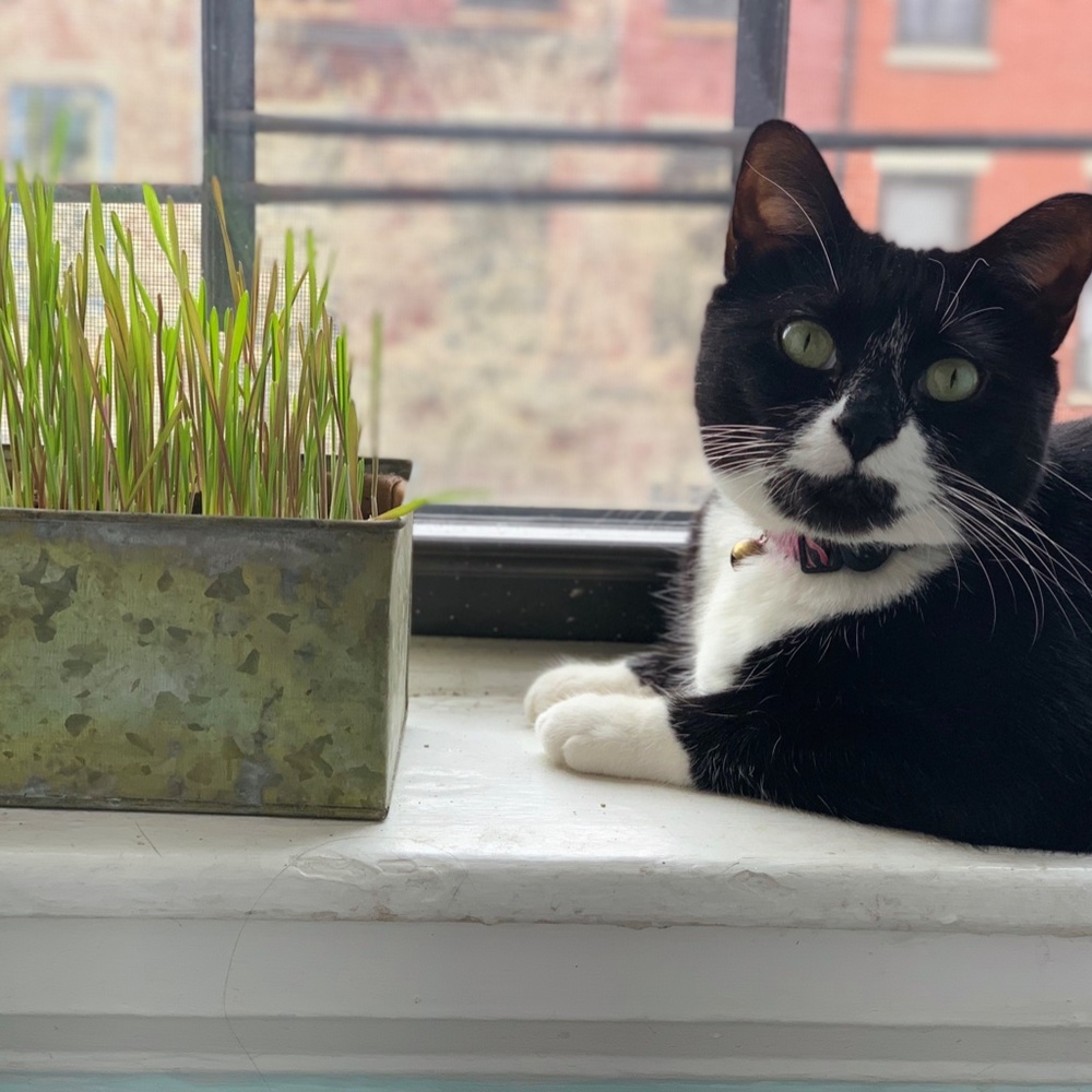 Meet your Posher, S'more to Love